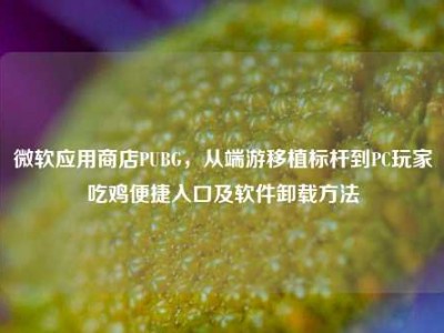 微软应用商店PUBG，从端游移植标杆到PC玩家吃鸡便捷入口及软件卸载方法