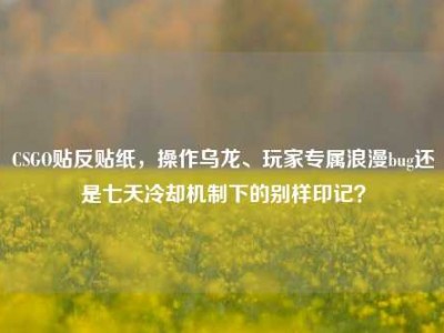 CSGO贴反贴纸，操作乌龙、玩家专属浪漫bug还是七天冷却机制下的别样印记？