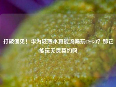 打破偏见！华为轻薄本真能流畅玩CS:GO？那它能玩无畏契约吗