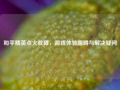 和平精英点火故障，游戏体验阻碍与解决疑问