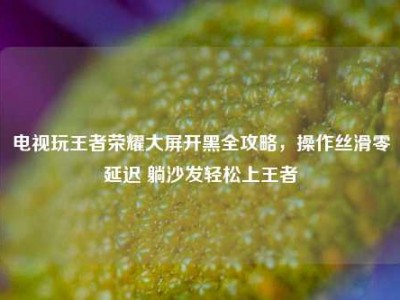 电视玩王者荣耀大屏开黑全攻略，操作丝滑零延迟 躺沙发轻松上王者