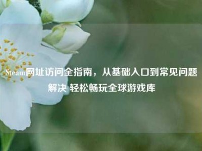Steam网址访问全指南，从基础入口到常见问题解决 轻松畅玩全球游戏库