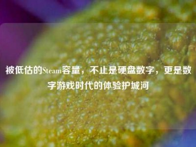 被低估的Steam容量，不止是硬盘数字，更是数字游戏时代的体验护城河