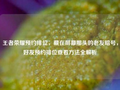 王者荣耀预约排位，藏在屏幕那头的老友暗号，好友预约排位查看方法全解析