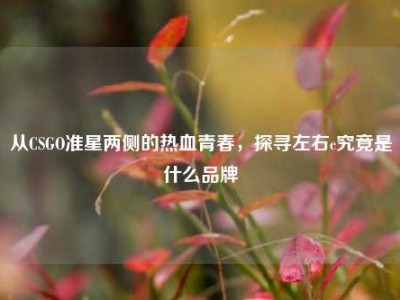 从CSGO准星两侧的热血青春，探寻左右c究竟是什么品牌
