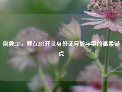 倒数321，藏在321开头身份证号数字里的温柔锚点