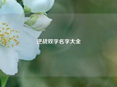 逆战双字名字大全