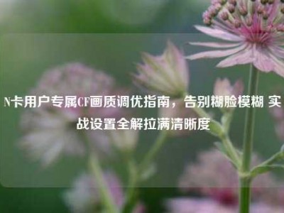 N卡用户专属CF画质调优指南，告别糊脸模糊 实战设置全解拉满清晰度