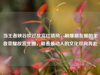 当王者峡谷吹过故宫红墙风，刷爆朋友圈的王者荣耀故宫生图，藏着最动人的文化双向奔赴