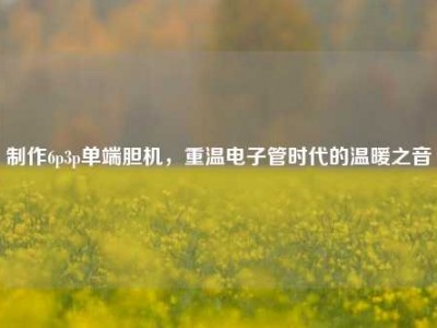 制作6p3p单端胆机，重温电子管时代的温暖之音
