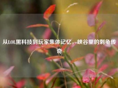 从LOL黑科技到玩家集体记忆，峡谷里的刺龟传奇