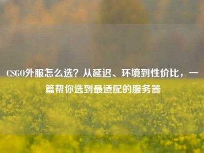 CSGO外服怎么选？从延迟、环境到性价比，一篇帮你选到最适配的服务器