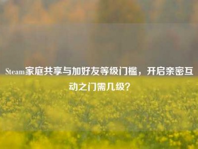 Steam家庭共享与加好友等级门槛，开启亲密互动之门需几级？