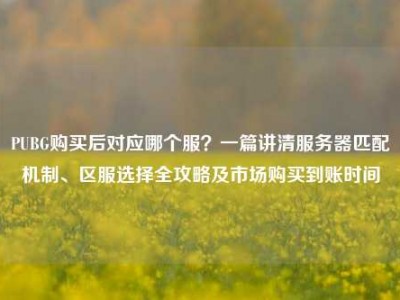 PUBG购买后对应哪个服？一篇讲清服务器匹配机制、区服选择全攻略及市场购买到账时间