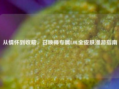 从情怀到收藏，召唤师专属LOL全皮肤漫游指南
