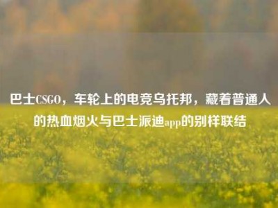 巴士CSGO，车轮上的电竞乌托邦，藏着普通人的热血烟火与巴士派迪app的别样联结