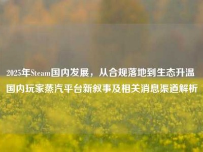 2025年Steam国内发展，从合规落地到生态升温 国内玩家蒸汽平台新叙事及相关消息渠道解析