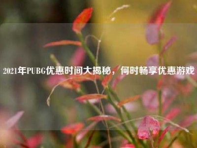 2021年PUBG优惠时间大揭秘，何时畅享优惠游戏