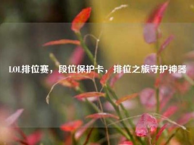 LOL排位赛，段位保护卡，排位之旅守护神器