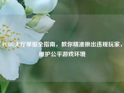 PUBG大厅举报全指南，教你精准揪出违规玩家，维护公平游戏环境