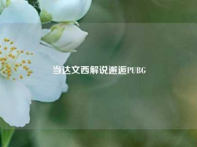 当达文西解说邂逅PUBG