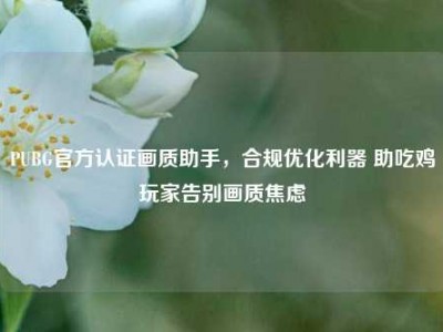 PUBG官方认证画质助手，合规优化利器 助吃鸡玩家告别画质焦虑
