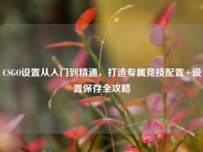 CSGO设置从入门到精通，打造专属竞技配置+设置保存全攻略