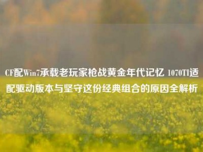 CF配Win7承载老玩家枪战黄金年代记忆 1070TI适配驱动版本与坚守这份经典组合的原因全解析
