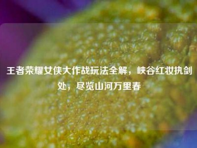 王者荣耀女侠大作战玩法全解，峡谷红妆执剑处，尽览山河万里春