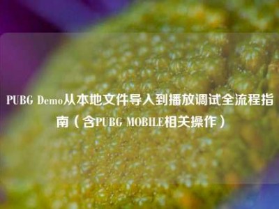 PUBG Demo从本地文件导入到播放调试全流程指南（含PUBG MOBILE相关操作）