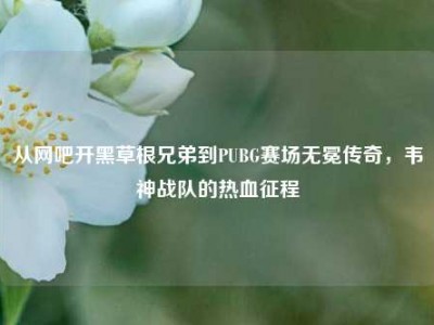 从网吧开黑草根兄弟到PUBG赛场无冕传奇，韦神战队的热血征程