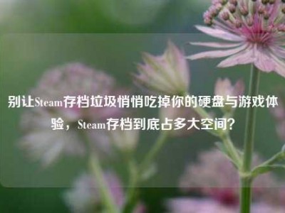 别让Steam存档垃圾悄悄吃掉你的硬盘与游戏体验，Steam存档到底占多大空间？