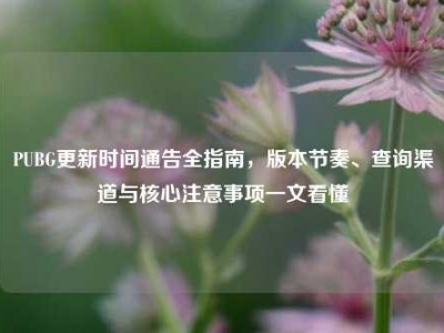 PUBG更新时间通告全指南，版本节奏、查询渠道与核心注意事项一文看懂