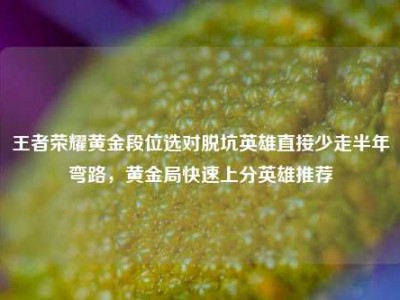 王者荣耀黄金段位选对脱坑英雄直接少走半年弯路，黄金局快速上分英雄推荐