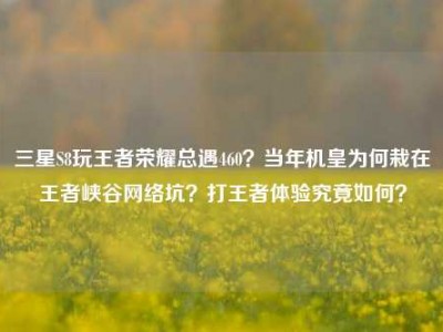 三星S8玩王者荣耀总遇460？当年机皇为何栽在王者峡谷网络坑？打王者体验究竟如何？