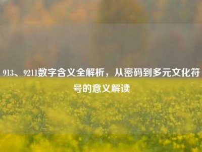 913、9211数字含义全解析，从密码到多元文化符号的意义解读