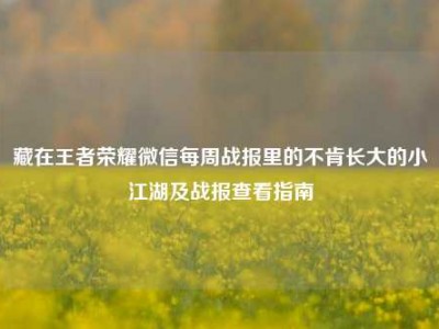 藏在王者荣耀微信每周战报里的不肯长大的小江湖及战报查看指南