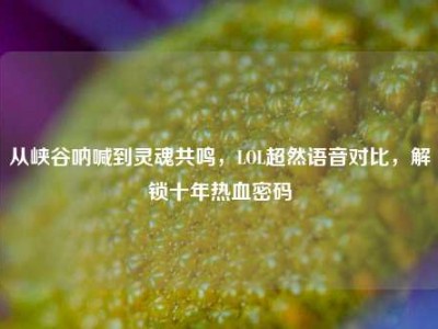从峡谷呐喊到灵魂共鸣，LOL超然语音对比，解锁十年热血密码