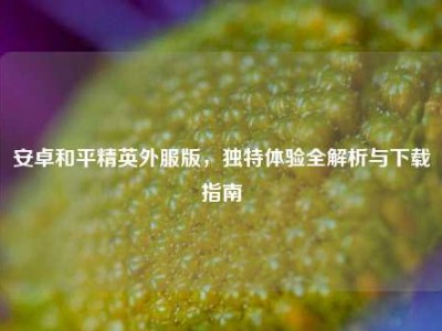 安卓和平精英外服版，独特体验全解析与下载指南