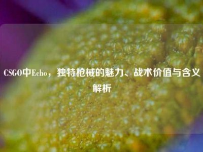 CSGO中Echo，独特枪械的魅力、战术价值与含义解析