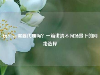 玩Steam需要代理吗？一篇讲清不同场景下的网络选择