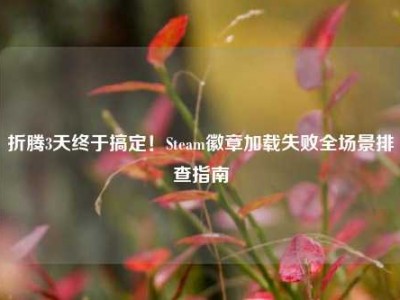 折腾3天终于搞定！Steam徽章加载失败全场景排查指南