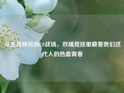 从王者峡谷到CF战场，双端竞技里藏着我们这代人的热血青春