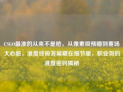 CSGO最准的从来不是枪，从像素级预瞄到赛场大心脏，准度终极答案藏在细节里，职业哥的准度密码揭秘