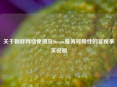 关于朝鲜网络使用及Steam服务可用性的客观事实说明