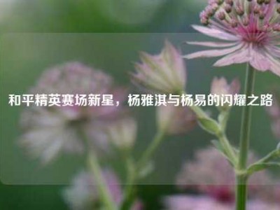 和平精英赛场新星，杨雅淇与杨易的闪耀之路