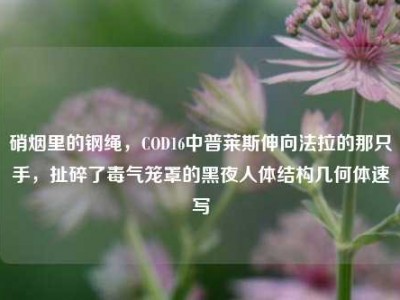 硝烟里的钢绳，COD16中普莱斯伸向法拉的那只手，扯碎了毒气笼罩的黑夜人体结构几何体速写