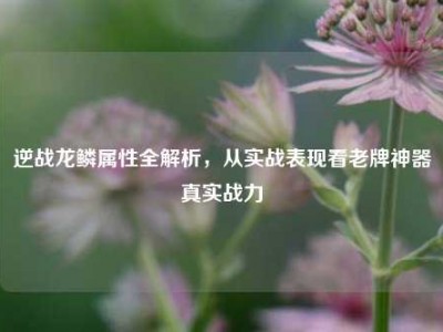 逆战龙鳞属性全解析，从实战表现看老牌神器真实战力