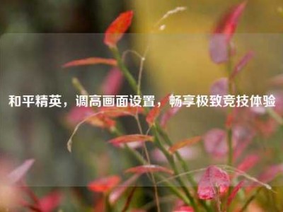和平精英，调高画面设置，畅享极致竞技体验