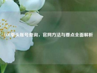 LOL拳头账号查询，官网方法与要点全面解析